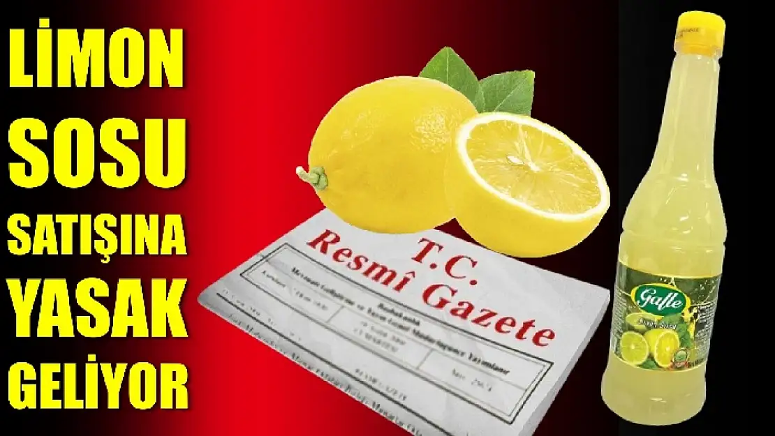 Resmi Gazete'de yayımlandı