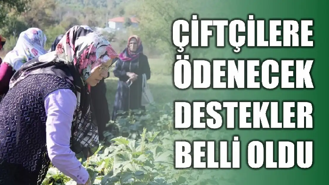 Resmi Gazete'de yayımlandı