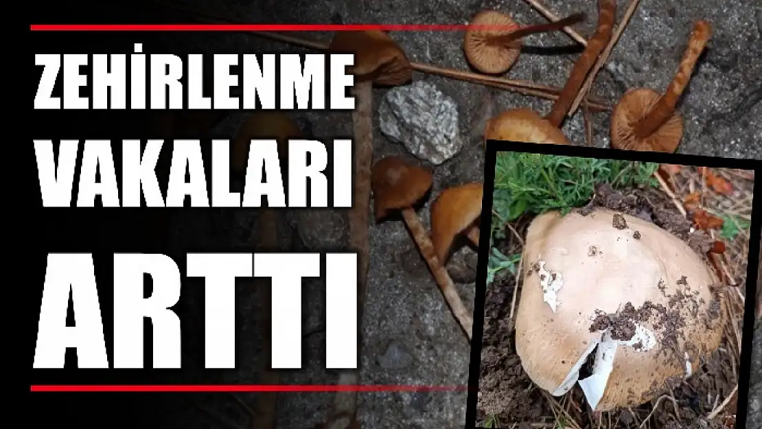 Sağlık Müdürlüğünden önemli uyarı