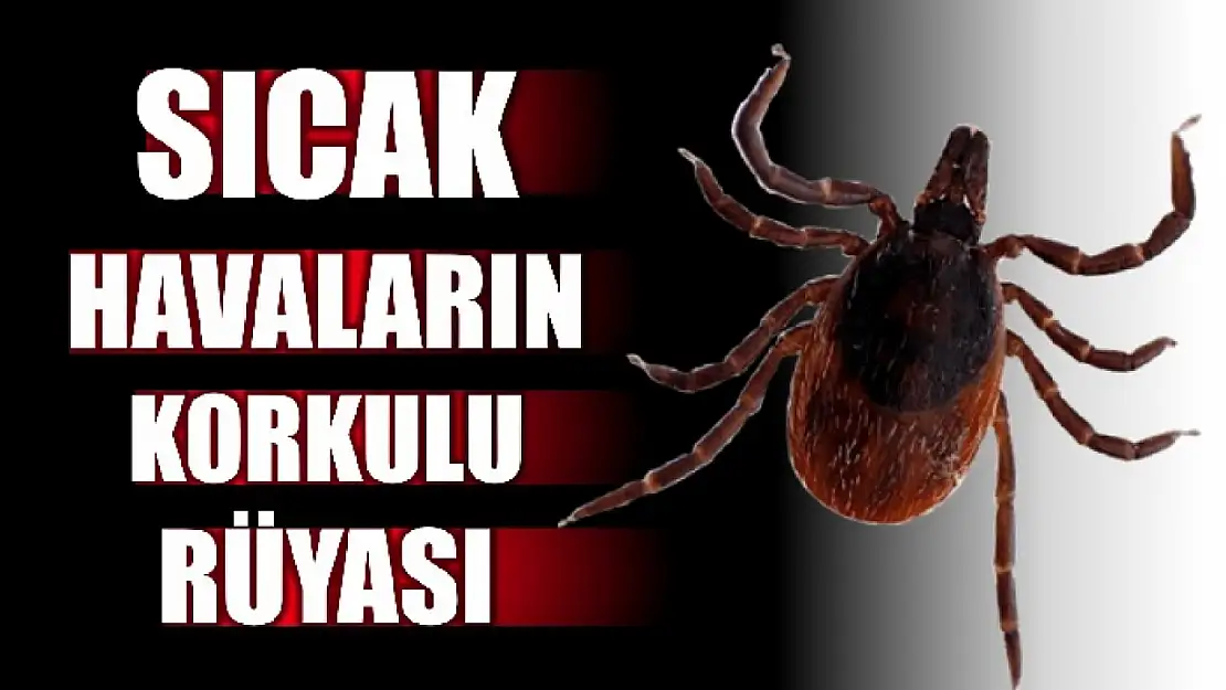 Sağlık Müdürlüğünden uyarı