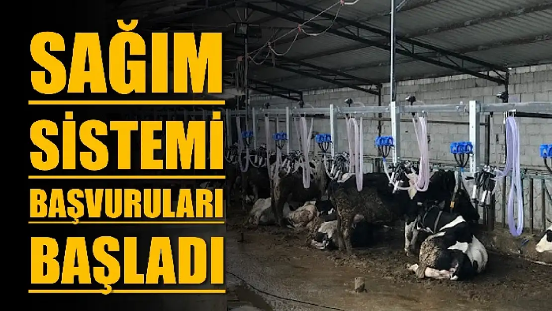 San başvuru tarihi 29 Mart