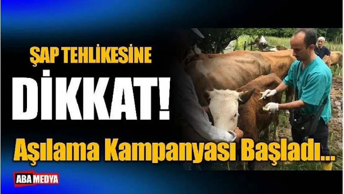 ŞAP TEHLİKESİNE DİKKAT! BARTIN