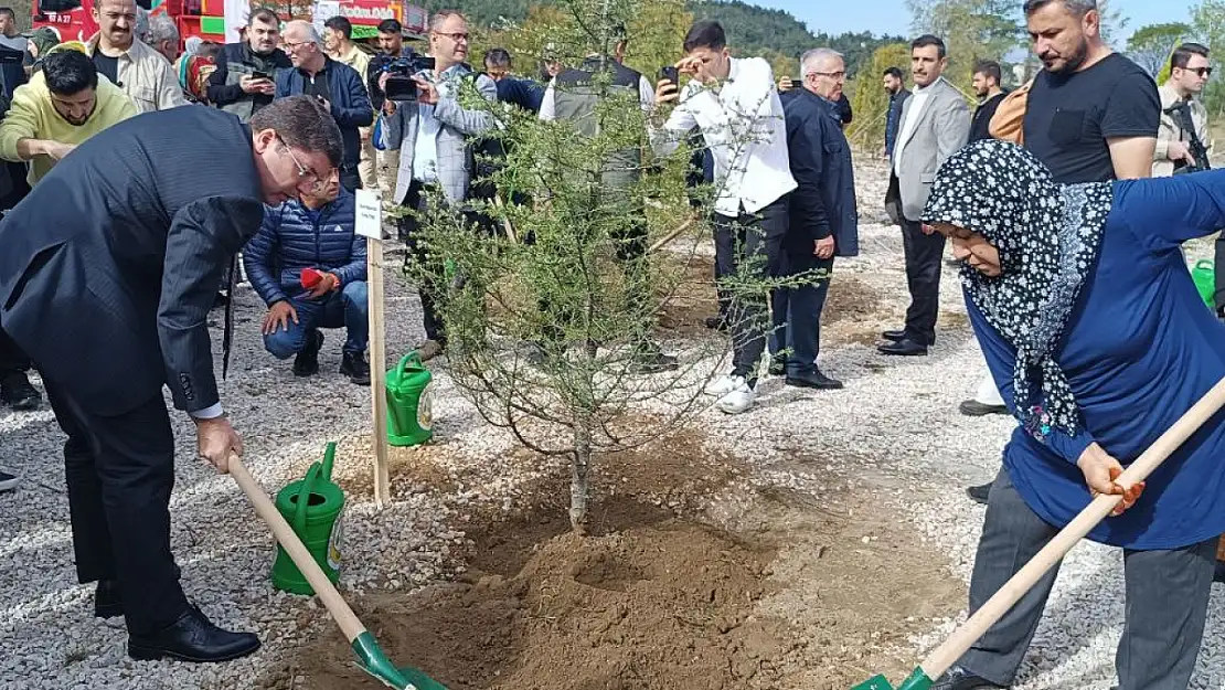 Şehit olan 43 madenci hatıra ormanında yaşatılacak