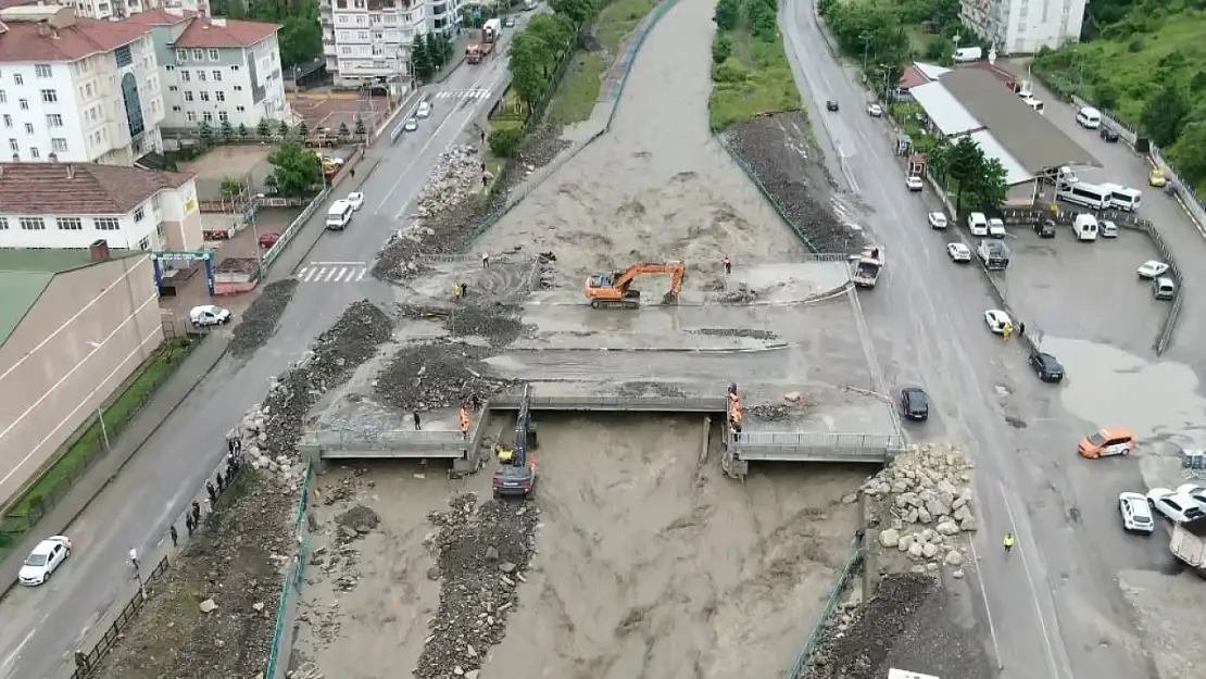 Sel felaketleri sadece insanları değil, balık popülasyonunu da etkiliyor