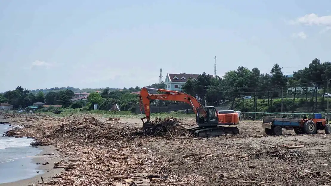 Selde sahile sürüklenen odunlar enerji olacak