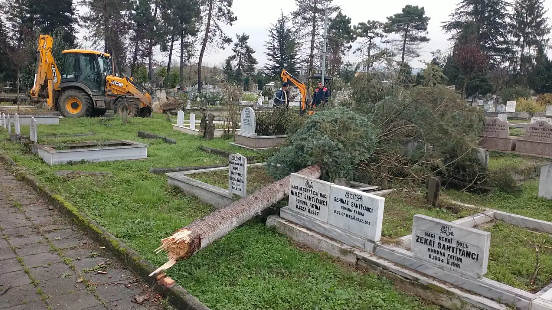 Şiddetli fırtına şehir mezarlığında hasara yol açtı