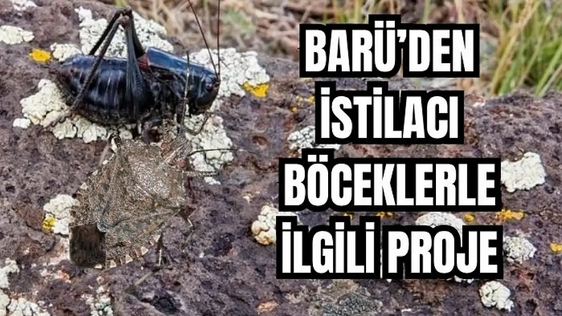 Sınır kapılarında tespit edilecekler