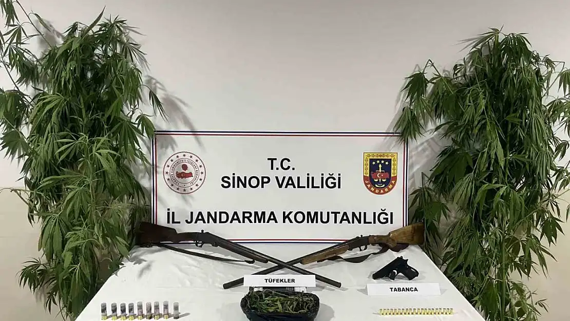 Sinop'ta jandarmadan uyuşturucu operasyonu: 1 gözaltı