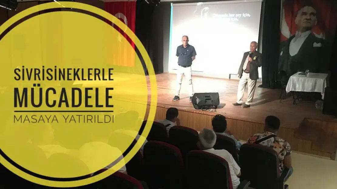 Sivrisineklerle mücadele masaya yatırıldı