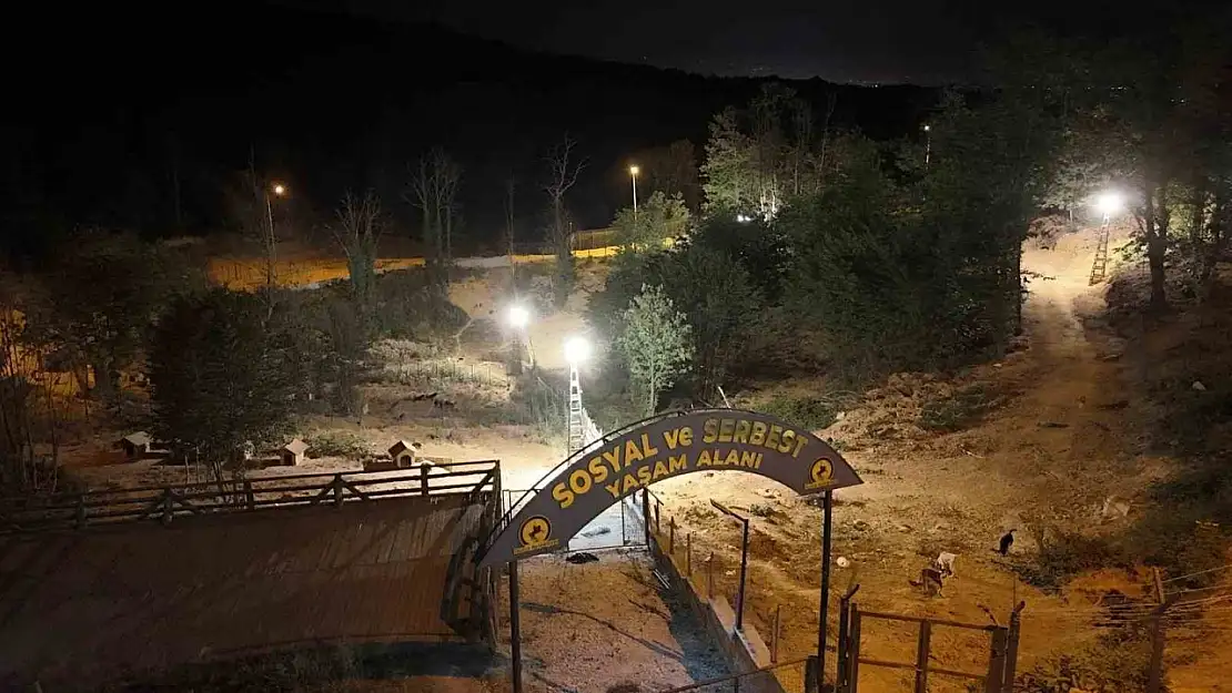 Sokak hayvanları için 80 bin metrekare rehabilitasyon merkezi