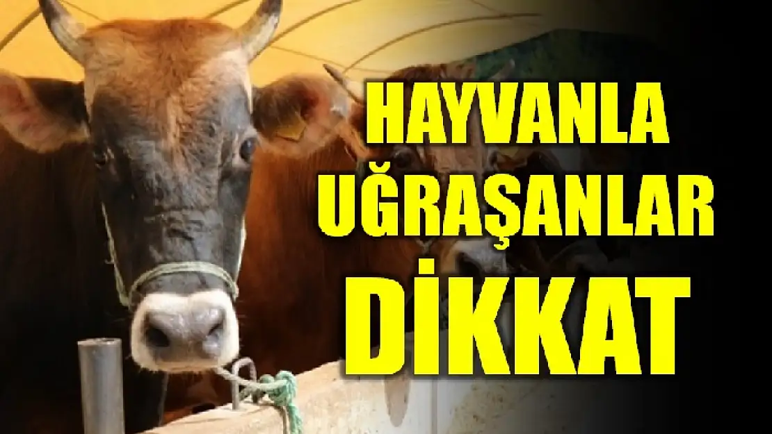 Son tarih 7 Mayıs