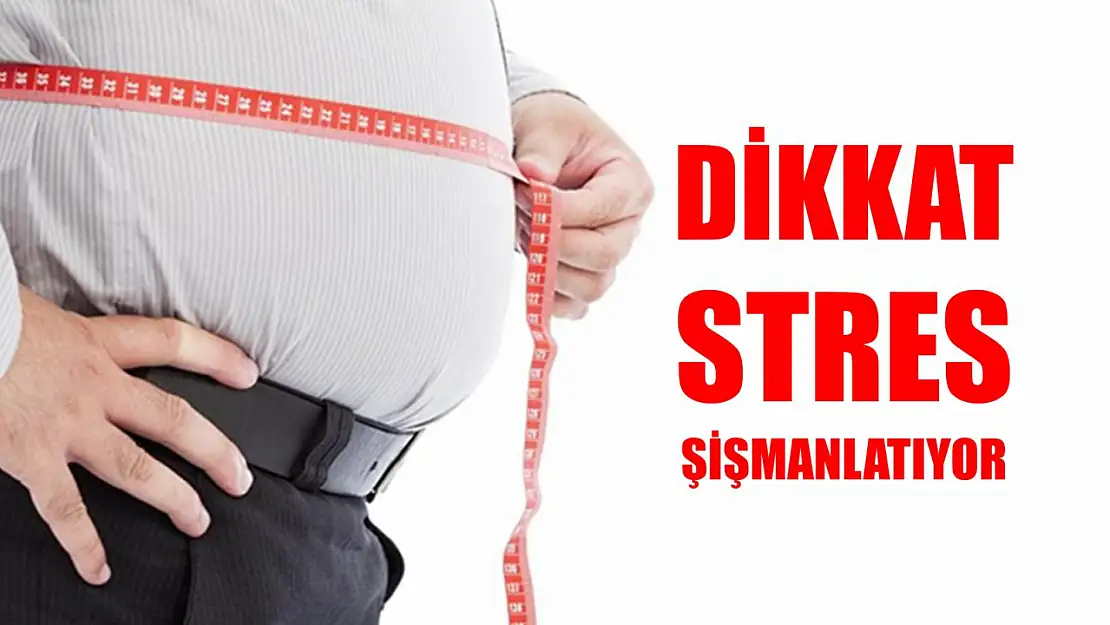 Strese bağlı duygusal açlığın sonucu obezite