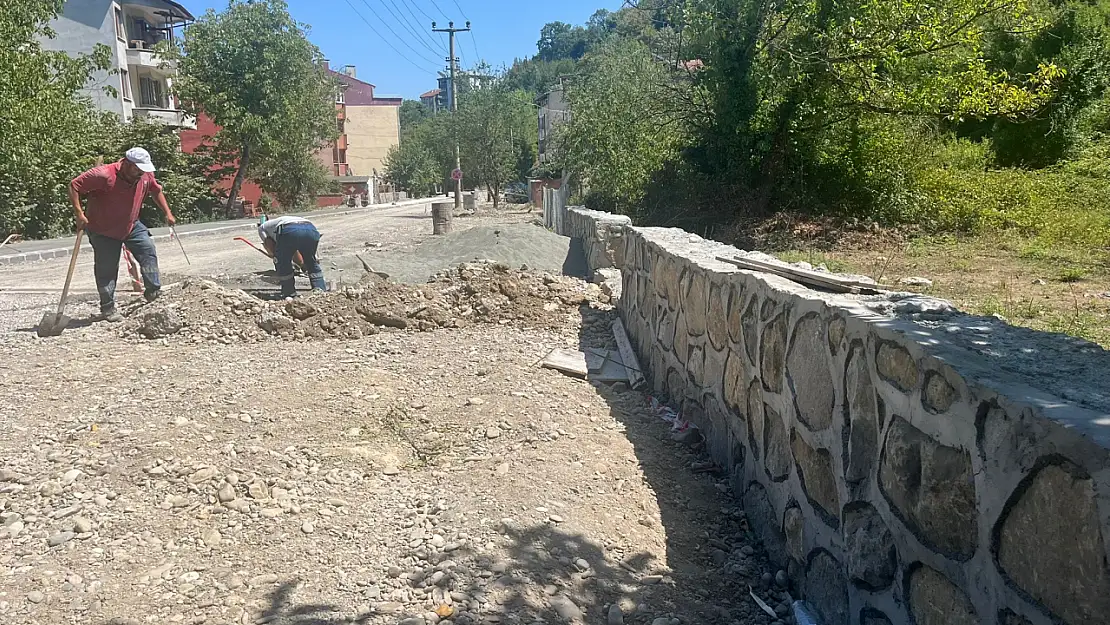 Tarihi yolda çalışma