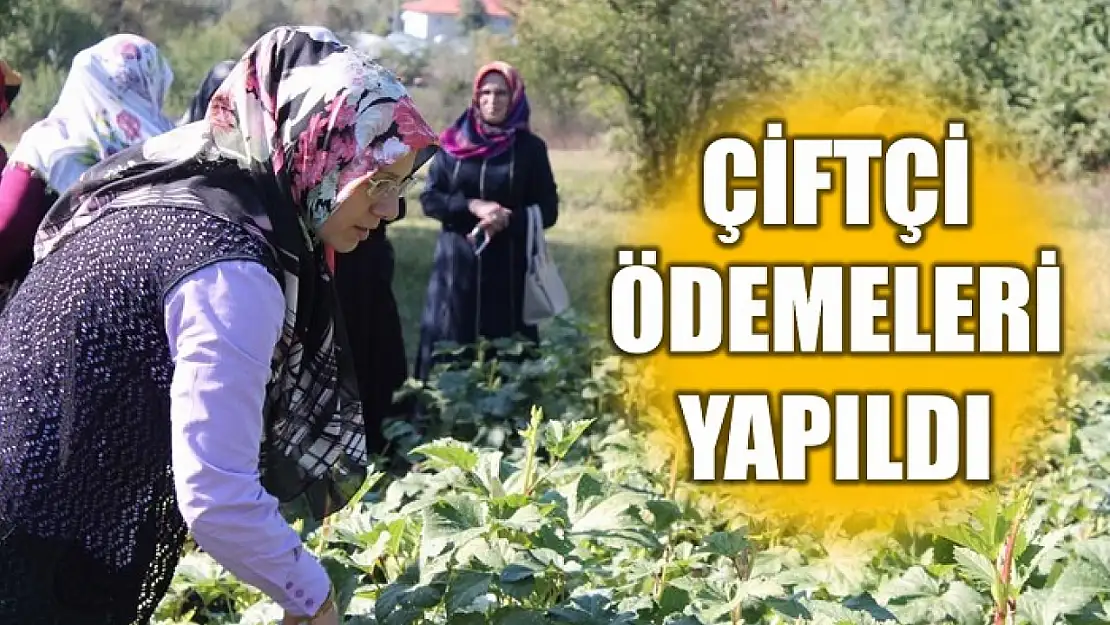 Tarım Bakanı açıkladı