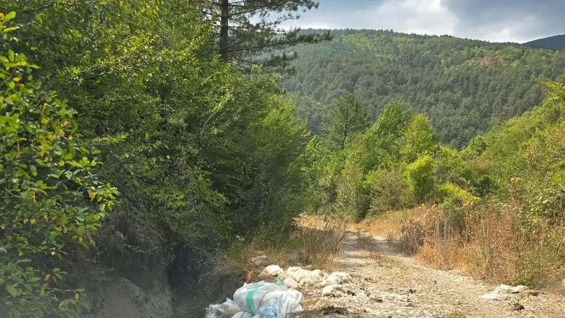 Tavuk leşlerini çuvallarla yayla yoluna attılar