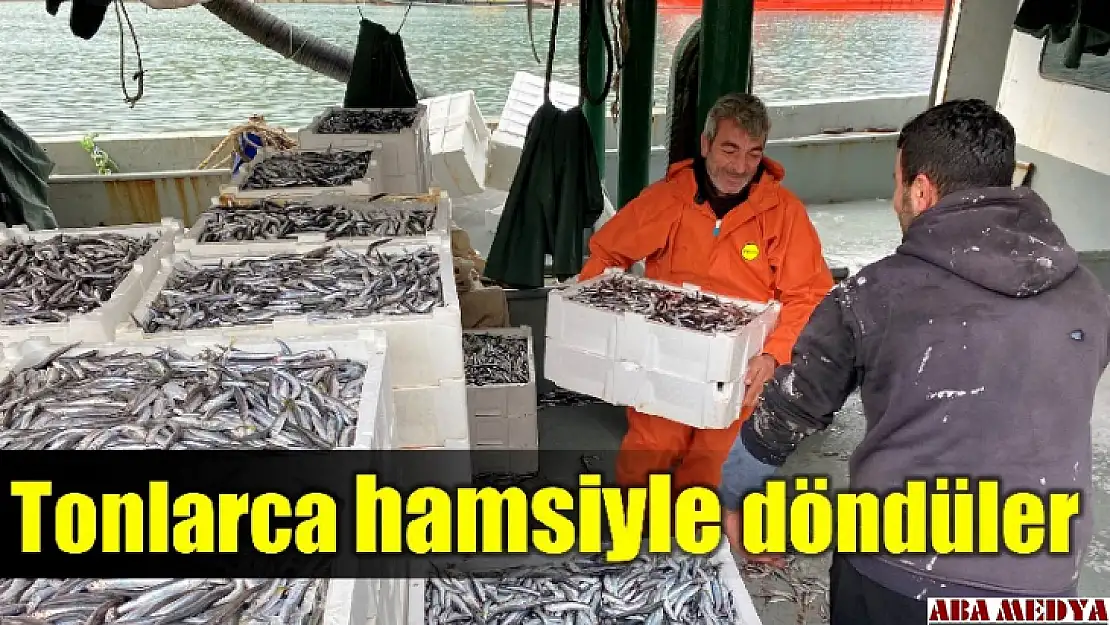 Tonlarca hamsiyle döndüler