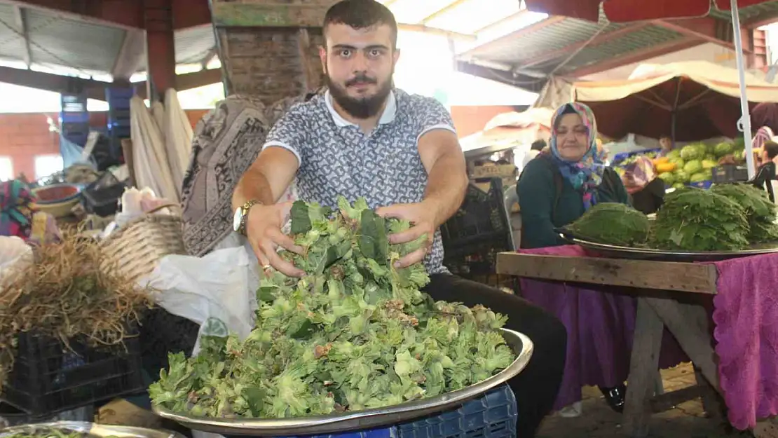 Taze fındıklar tezgahlarda yerini almaya başladı