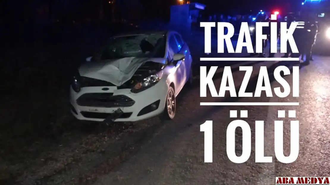 Trafik kazası 1 ölü