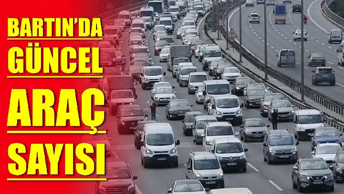 TÜİK açıkladı