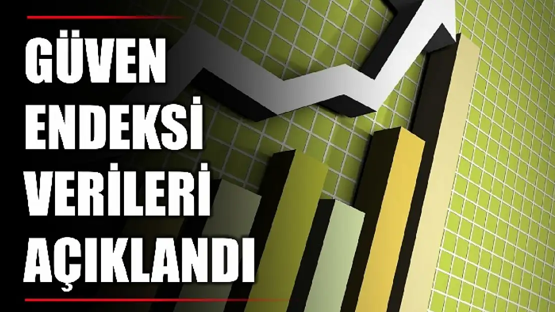 TÜİK açıkladı