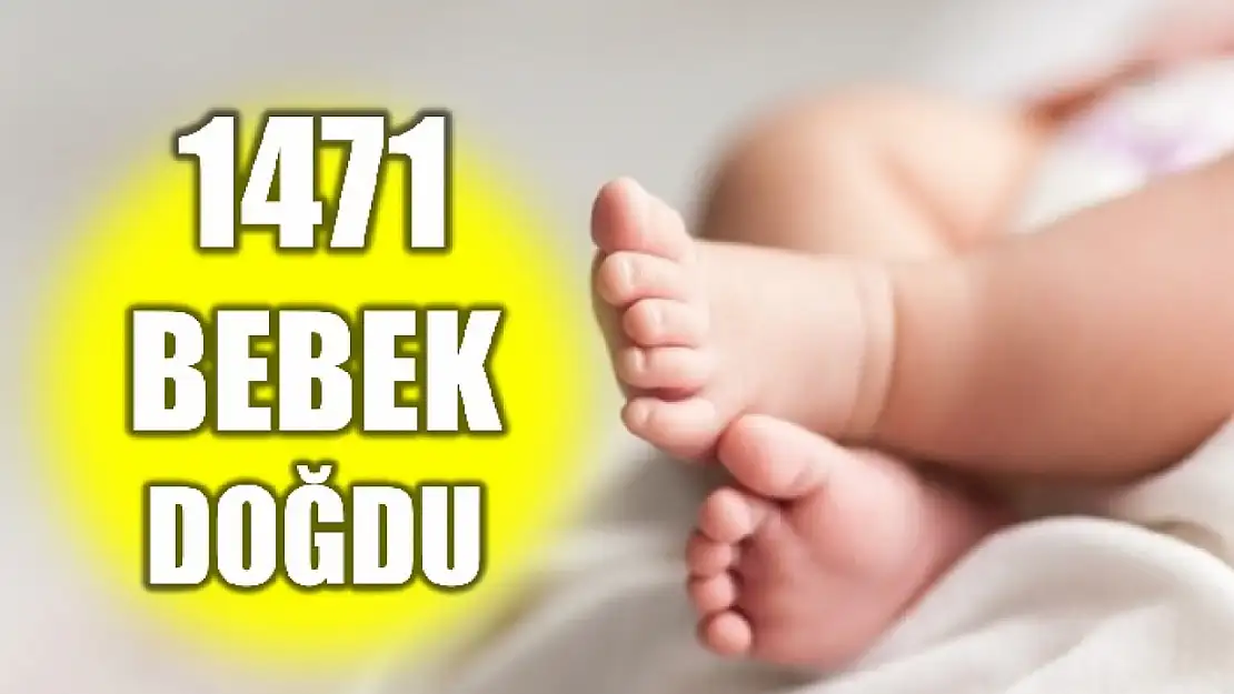 TÜİK açıkladı