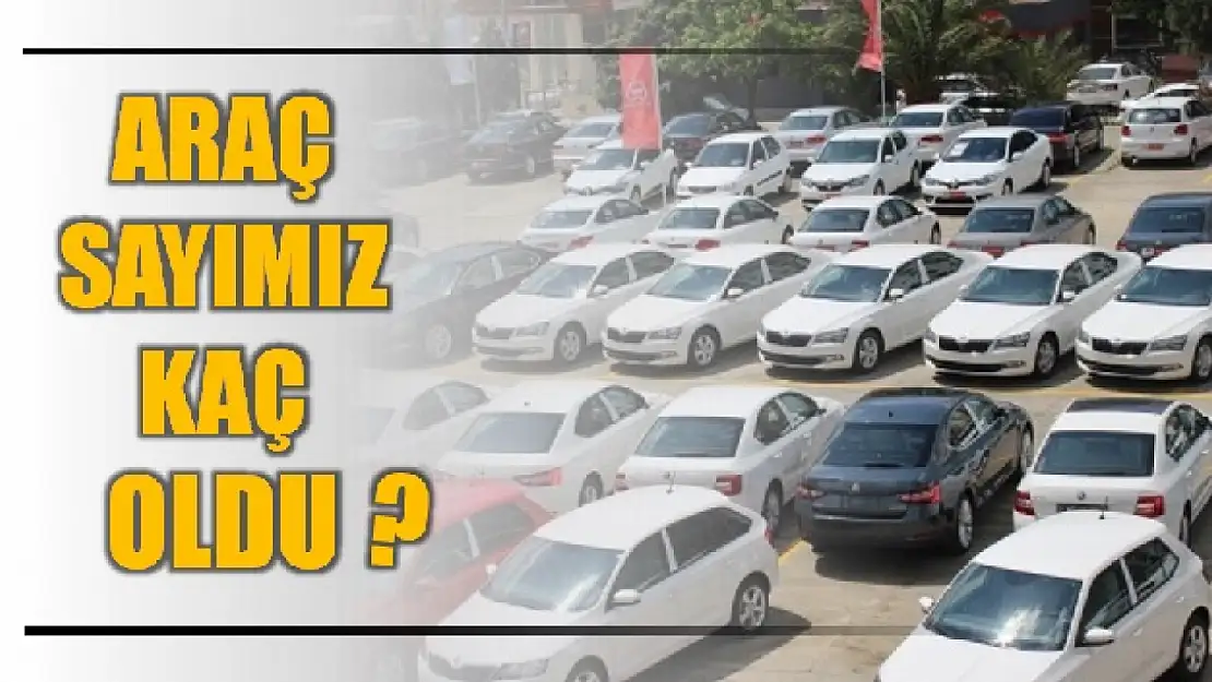 TÜİK açıkladı