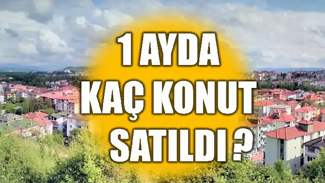 TÜİK verileri paylaştı