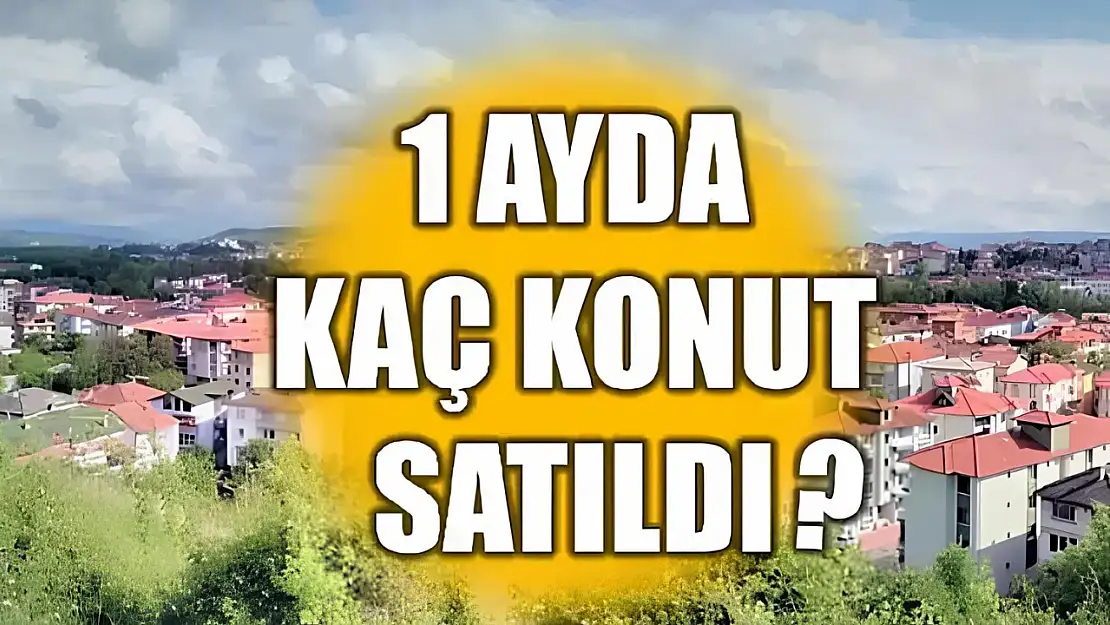 TÜİK verileri paylaştı