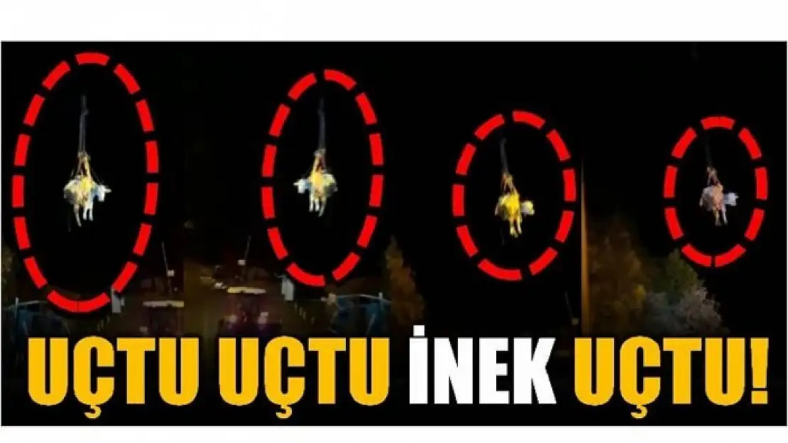 UÇTU UÇTU İNEK UÇTU