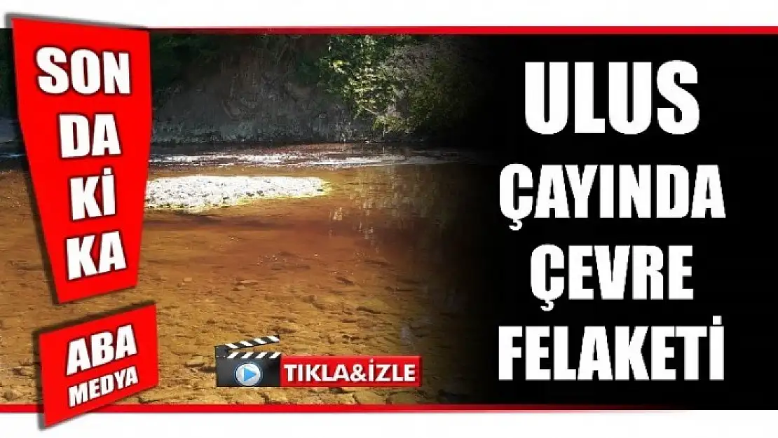 ULUS ÇAYINDA ÇEVRE FELAKETİ!!!