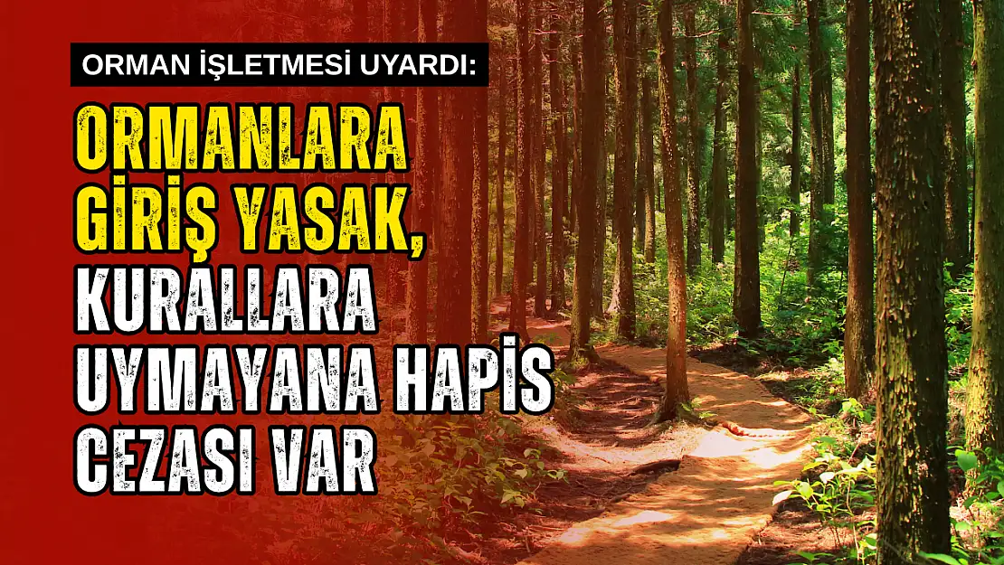 Ulus Orman İşletmesi Uyardı
