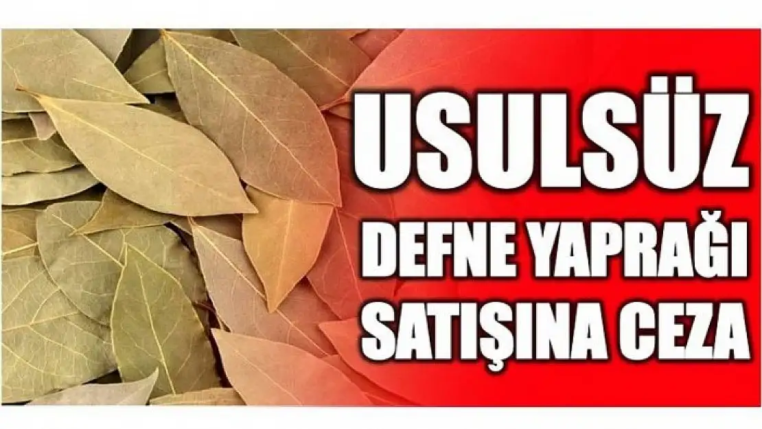 USULSÜZ DEFNE SATIŞI TESPİT EDİLDİ