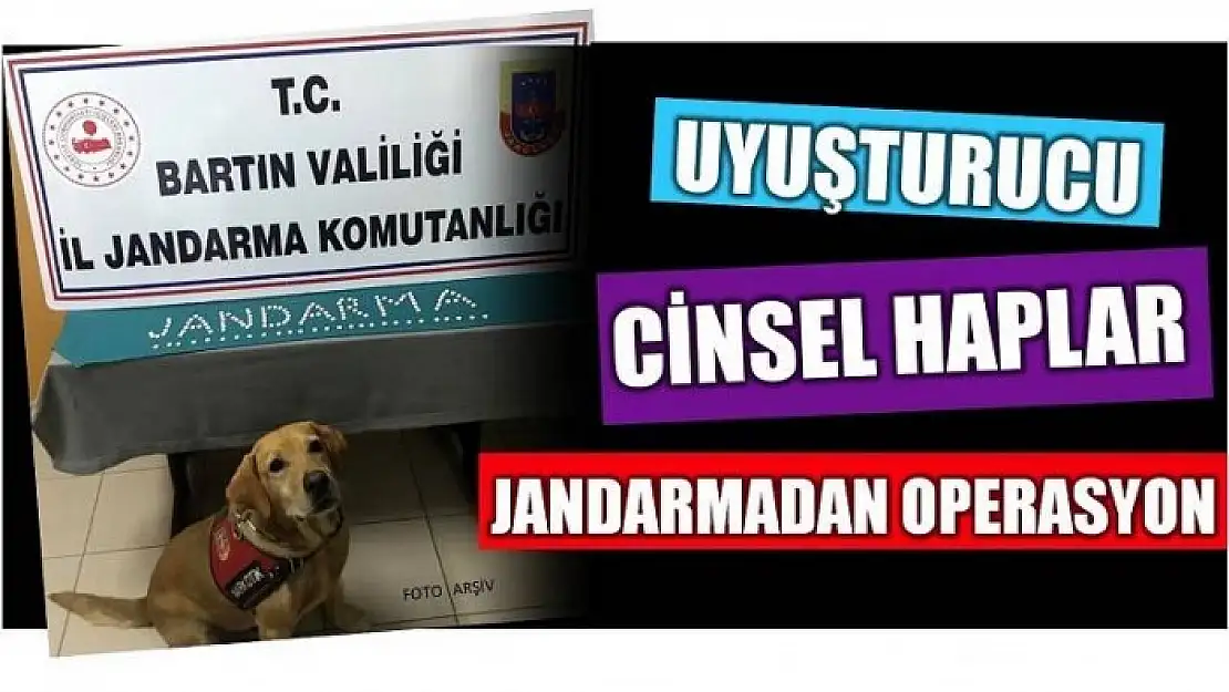 UYUŞTURUCU VE CİNSEL HAPLAR ELE GEÇİRİLDİ