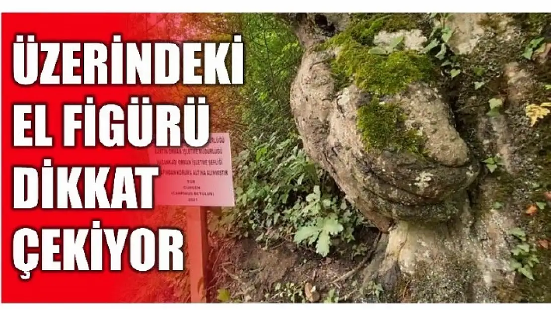 ÜZERİNDEKİ EL FİGÜRÜ DİKKAT ÇEKİYOR