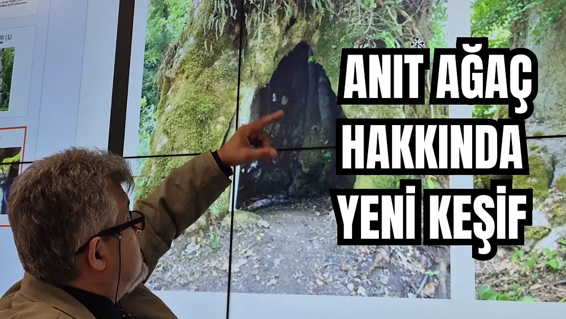 Uzmanları inceledi