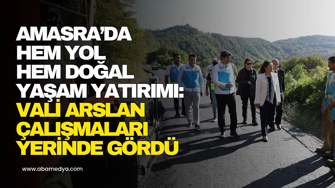 Vali Arslan Çalışmaları Yerinde Gördü