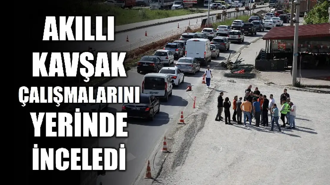 Vali Arslan'dan inceleme
