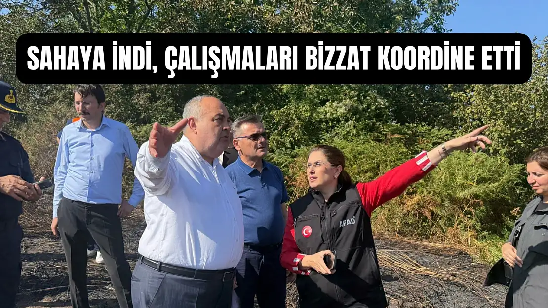 Vali Arslan yangın bölgelerinde