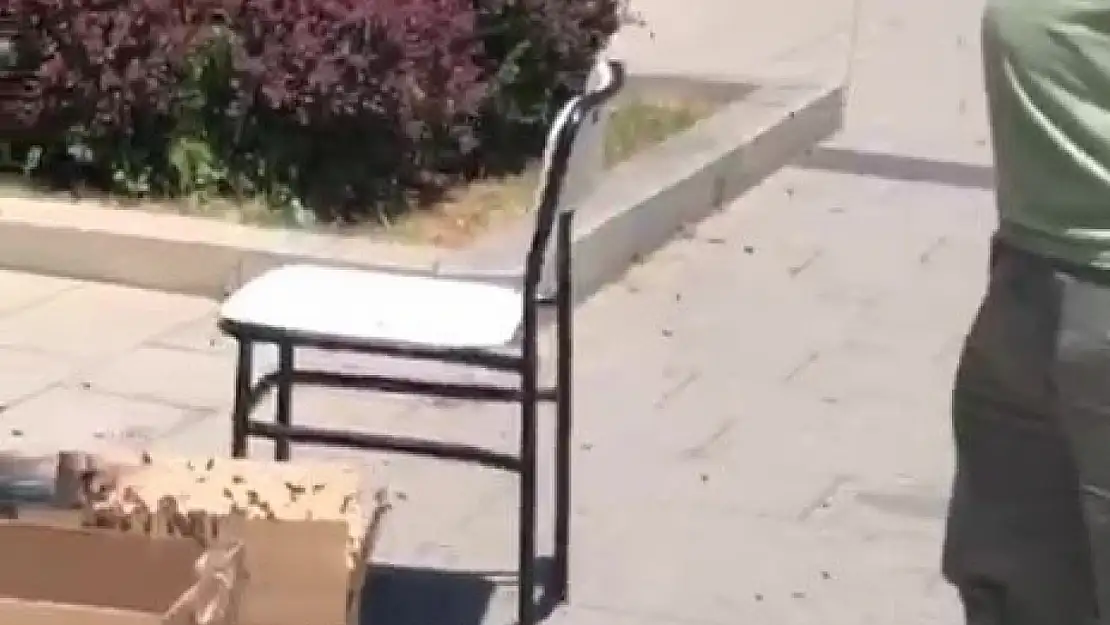 Valilik binası çevresinde süs ağacına kümelenen arılar tedirgin etti