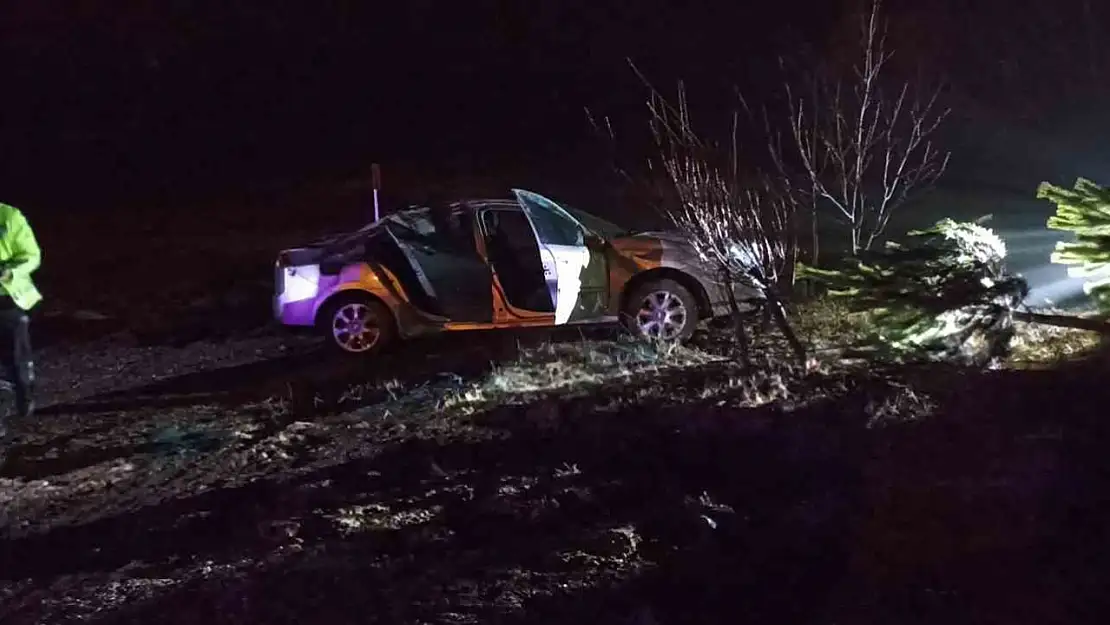 Yağmurda kayganlaşan yol kazaya neden oldu: 3 yaralı