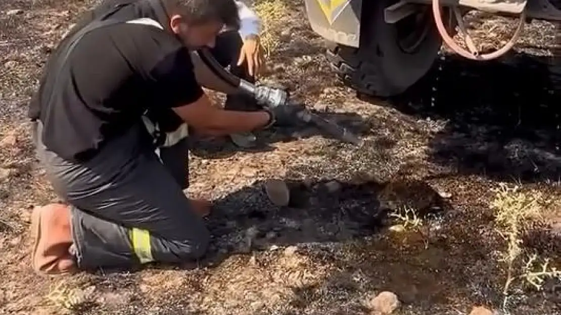 Yangından etkilenen kirpiye elleriyle su verdiler