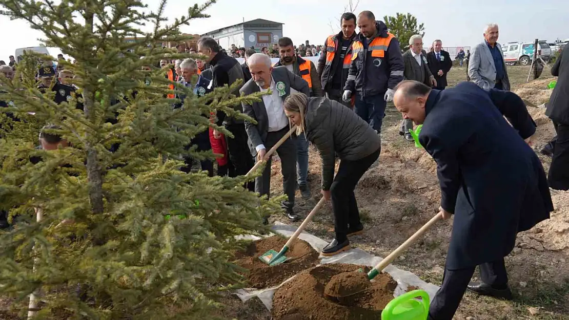 Yaslıkaya: 'Kastamonu ormanlarının 23,5'i ağaçlandırmalarla elde edilmiştir'