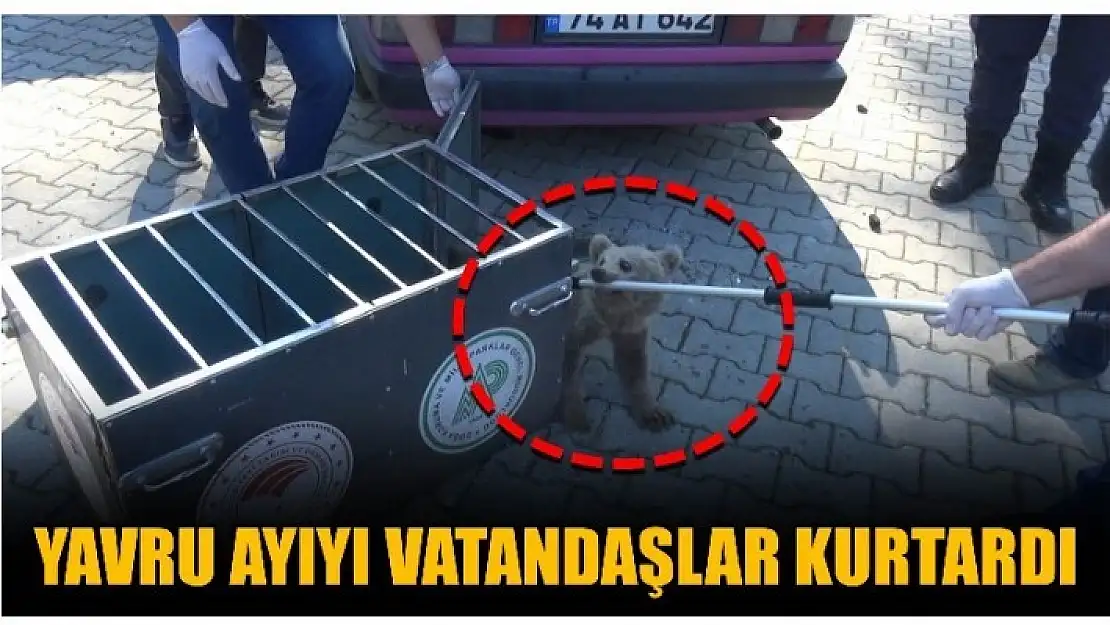 YAVRU AYIYI KÖPEKLERİN SALDIRISINDAN KURTARDILAR