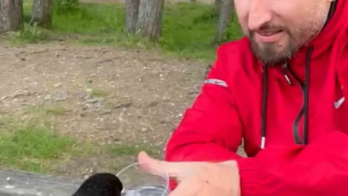 Yavru kargaya bardakla su verdiler, elleriyle beslediler