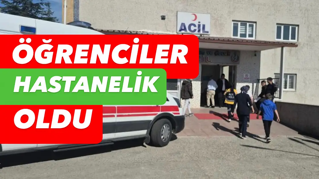 Yedikleri hastanelik etti