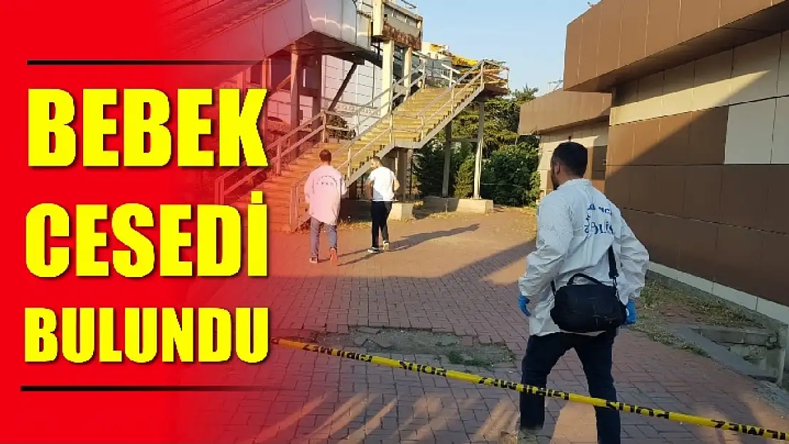 Yeni doğmuş bebek cesedi bulundu