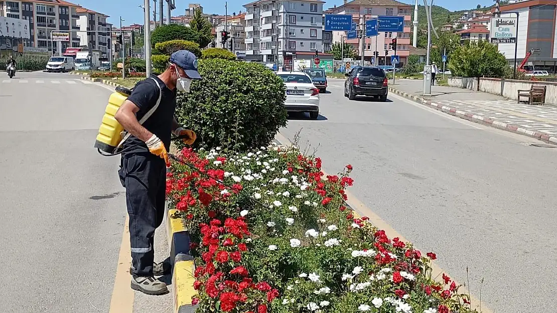 Yeşil alanlara mevsimsel dokunuş