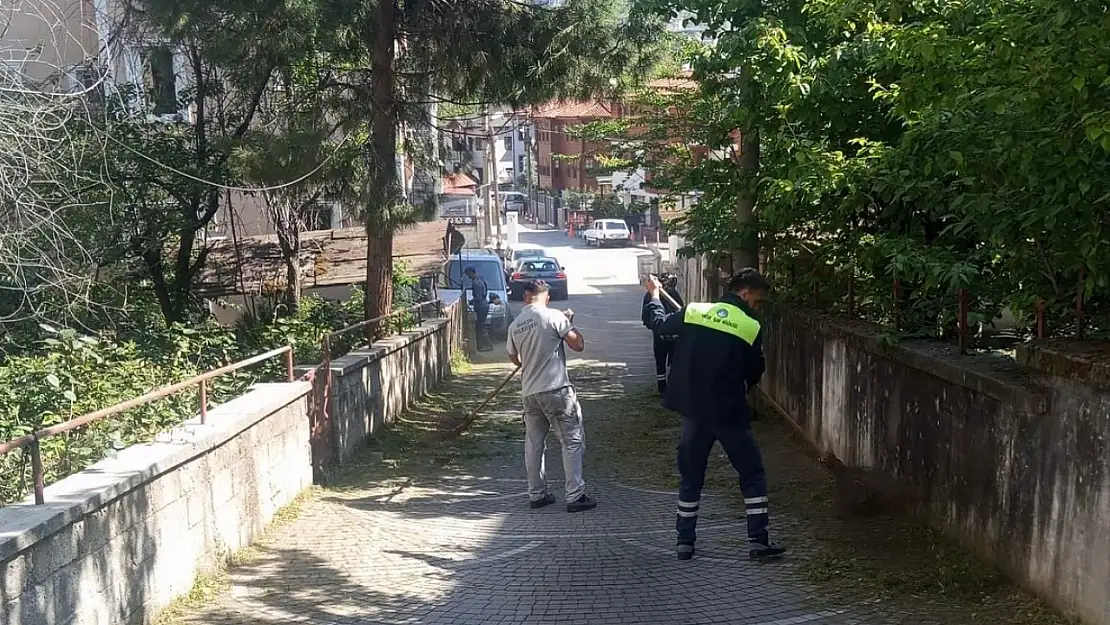 Yeşil alanlarda temizlik çalışması