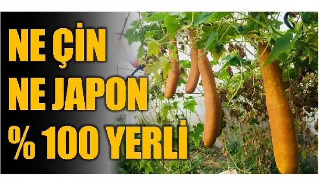 YÜZDE 100 YERLİ - BARTIN