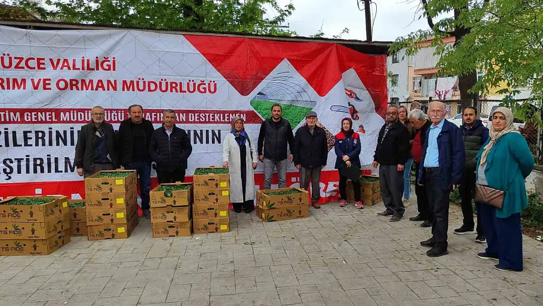 Yüzde 75'i bakanlık destekli fideler çiftçilere dağıtıldı